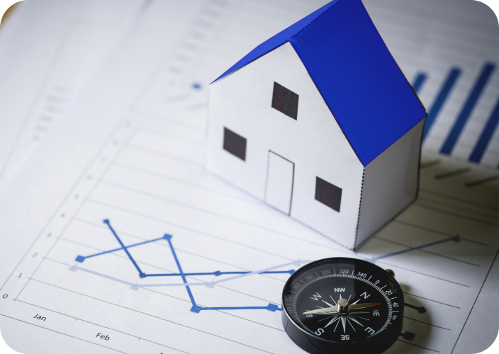 Rental investment property financed with an investor loan